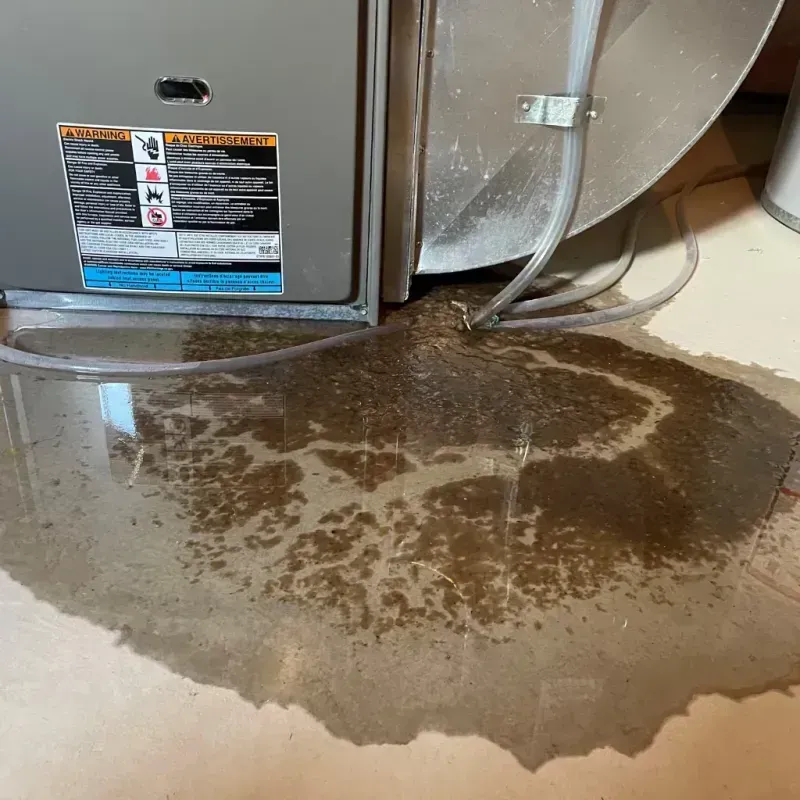 Appliance Leak Cleanup in Fortuna, CA